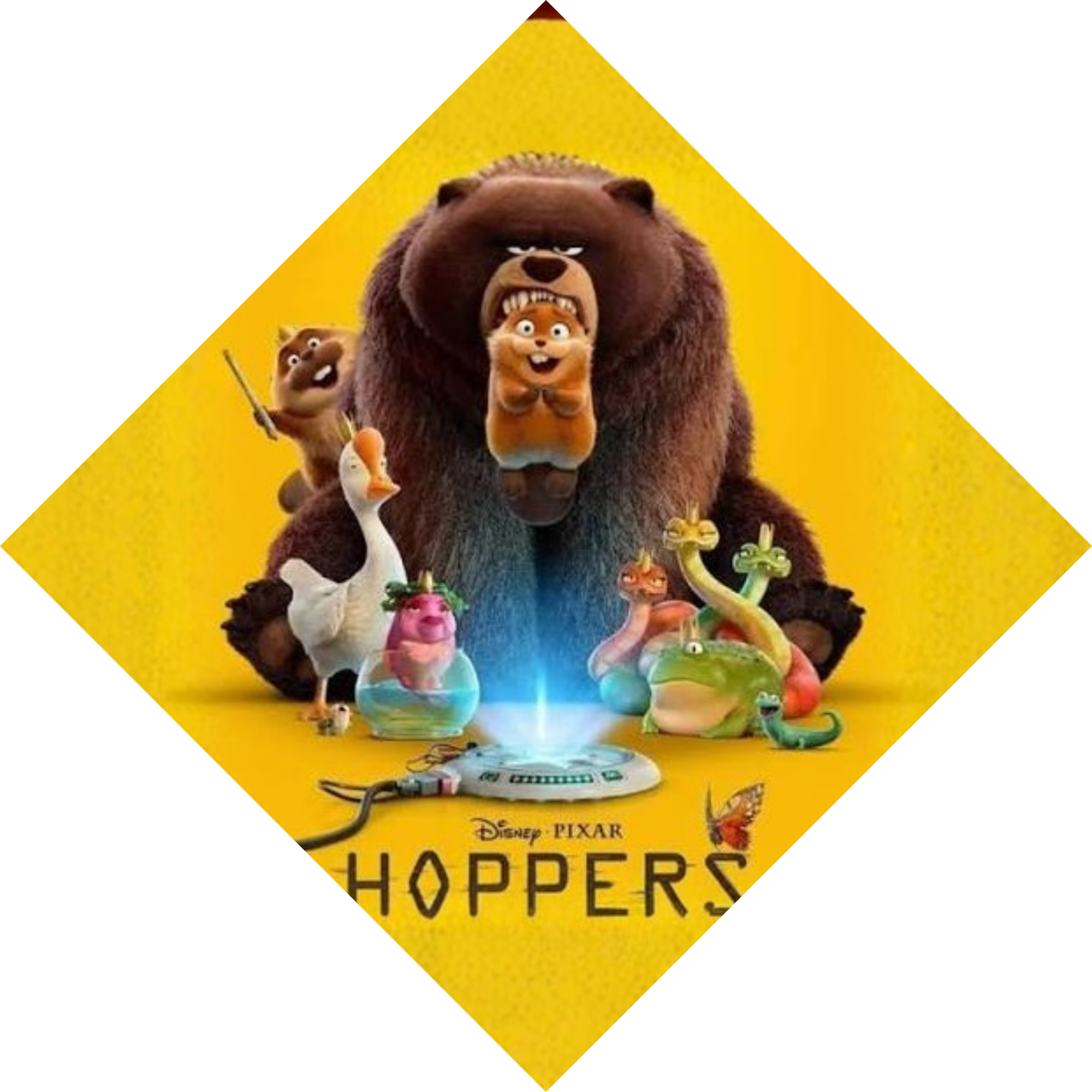 3. HOPPERS